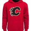 NHL Calgary Flames Hoodie, Youth 1 NHL Calgary Flames Hoodie, Youth -NHL Shop calgary flames hoody youth small 37b6c153 185f 46cf 96c4 c455e0a16f8f