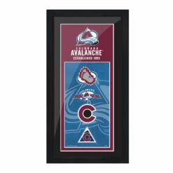 NHL Colorado Avalanche Hockey Team Logo Art Frame, 6-in X 15-in